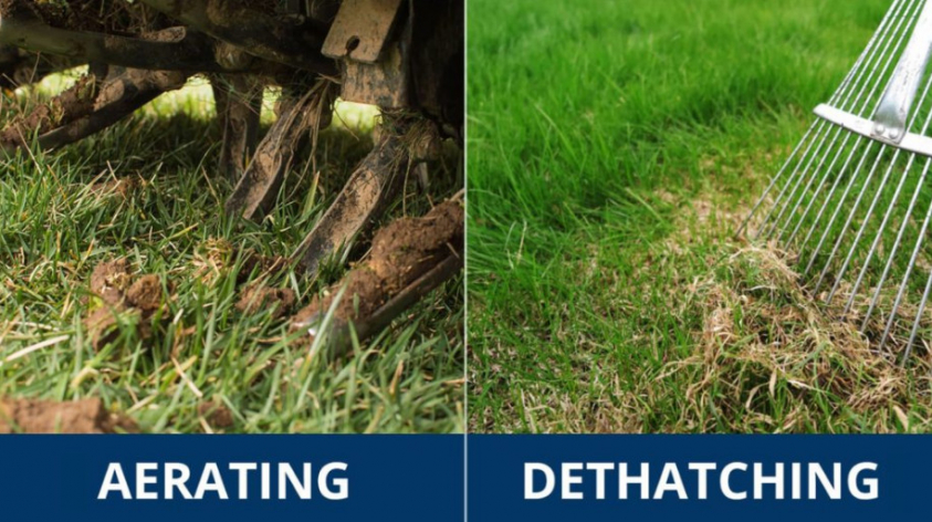 Lawn Dethatching and Aerating